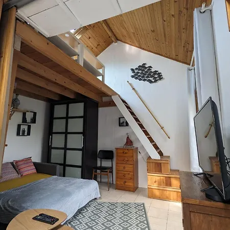 Apartment Oasis